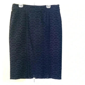 Ann Taylor skirt